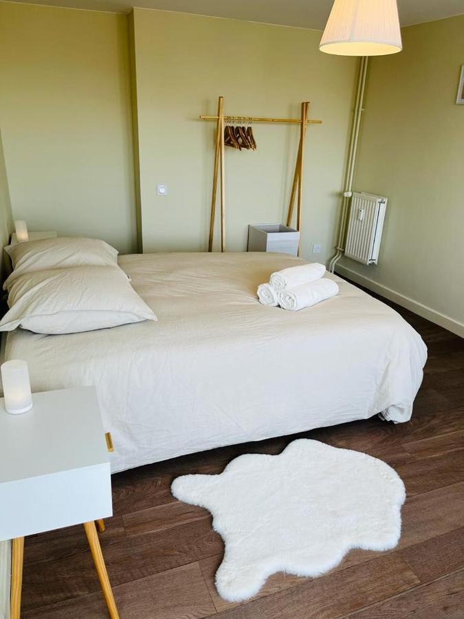 Espace 500 - Cosy, Wifi & Vue Sur La Ville 생테티엔 외부 사진